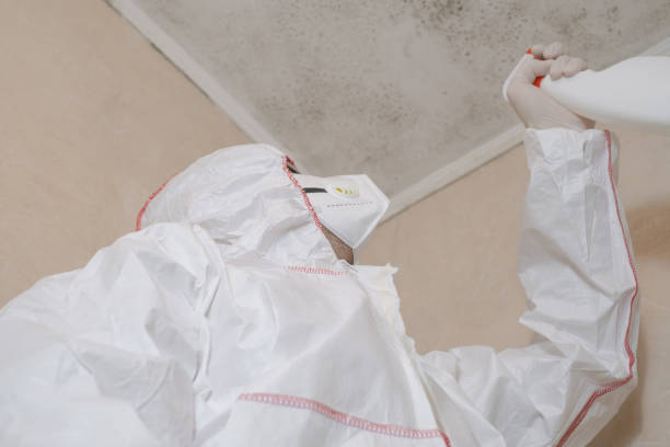 Best Commercial Mold Removal  in Sea Ranch, CA